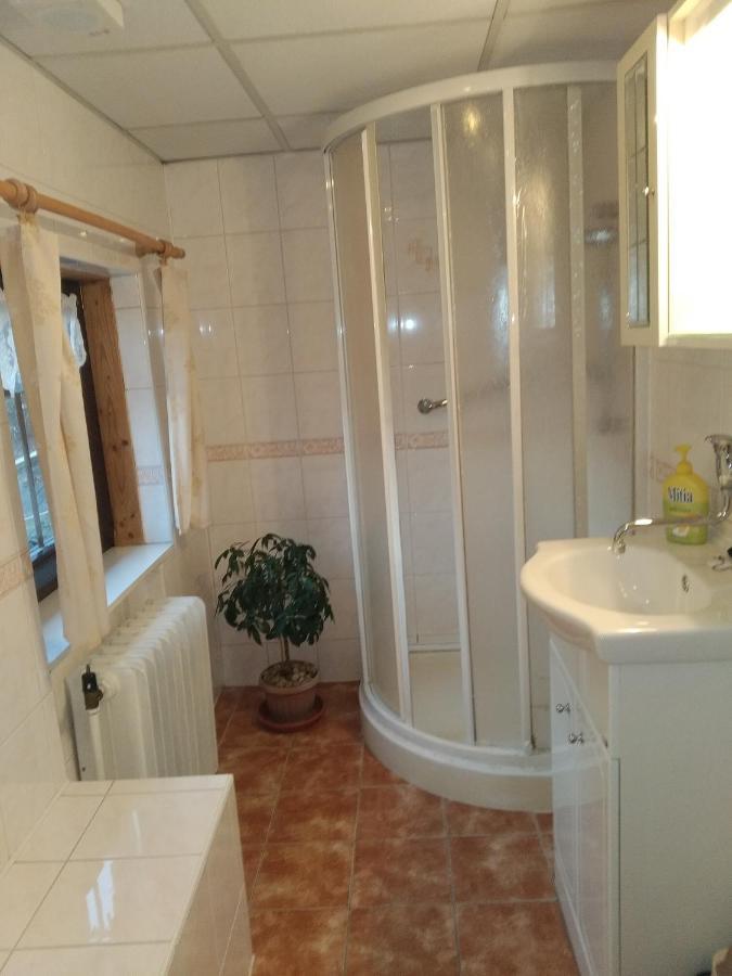 Ubytovani Riegel Svoboda nad Úpou Zimmer foto