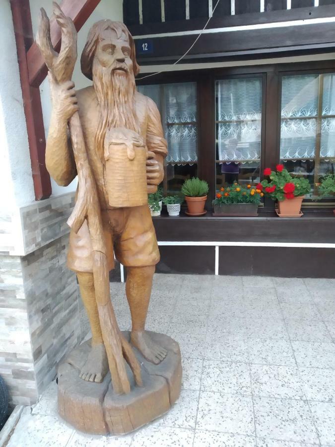 Ubytovani Riegel Svoboda nad Úpou Exterior foto